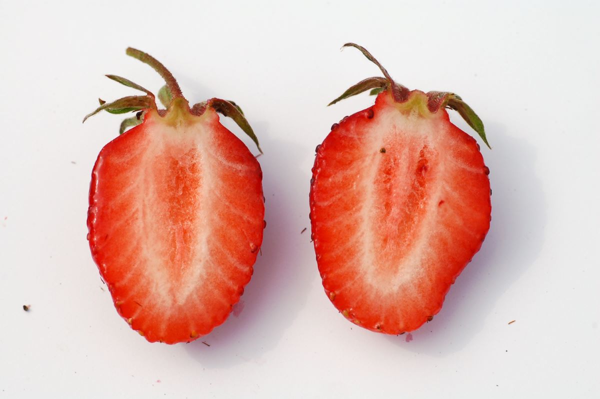 Hellrote aus Urtenen