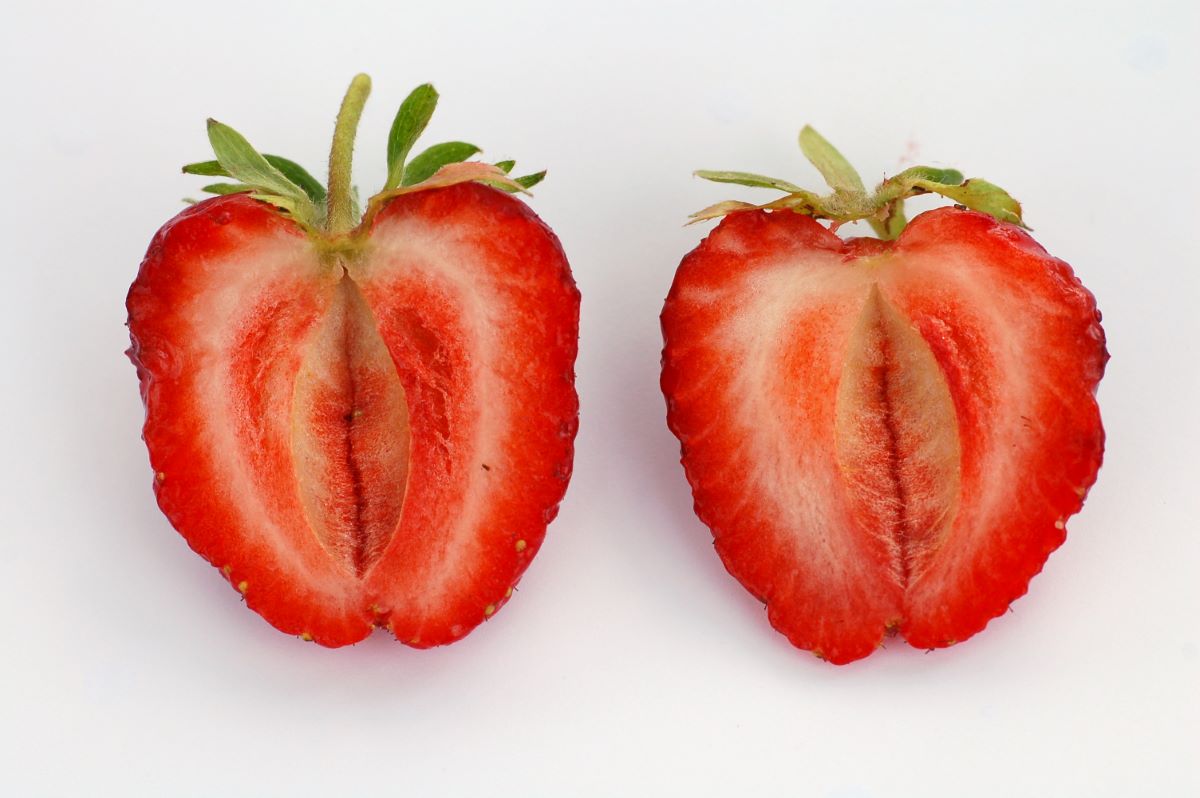 Noire Foncée d'Ettingen