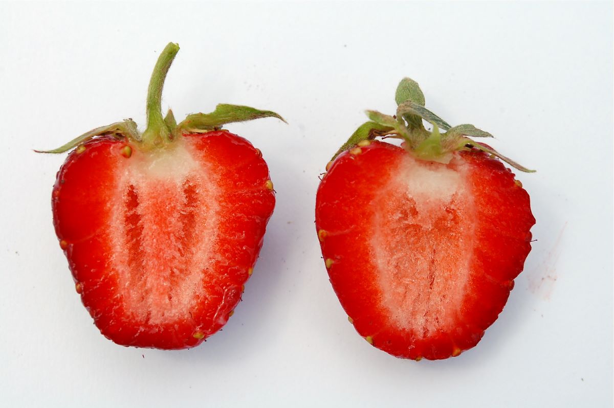 Rosso Scuro di Speicher