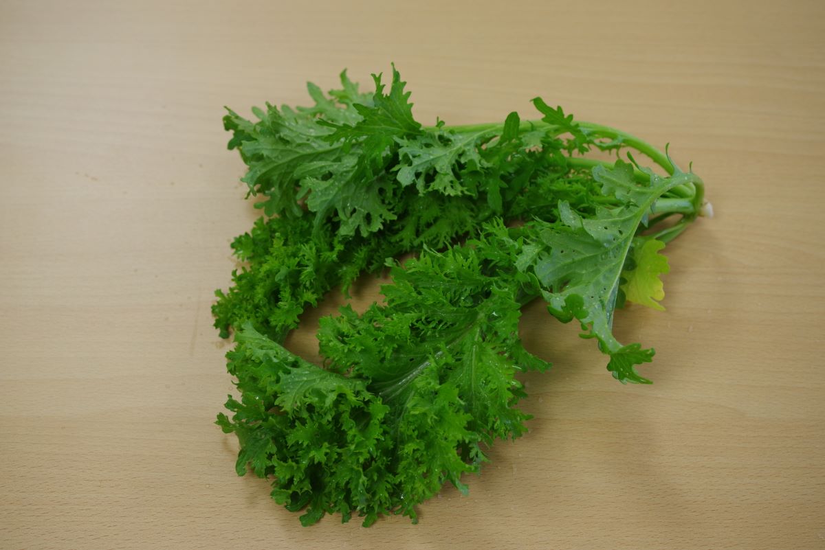 Wasabina