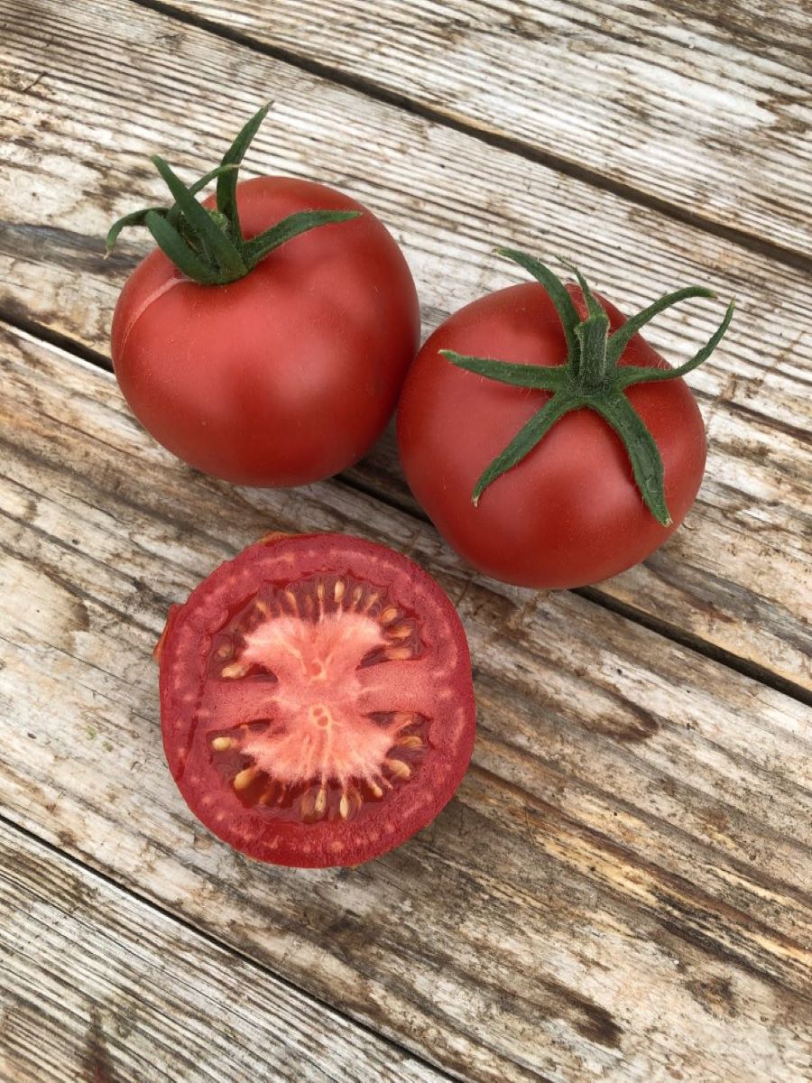 Merveille des Marchés