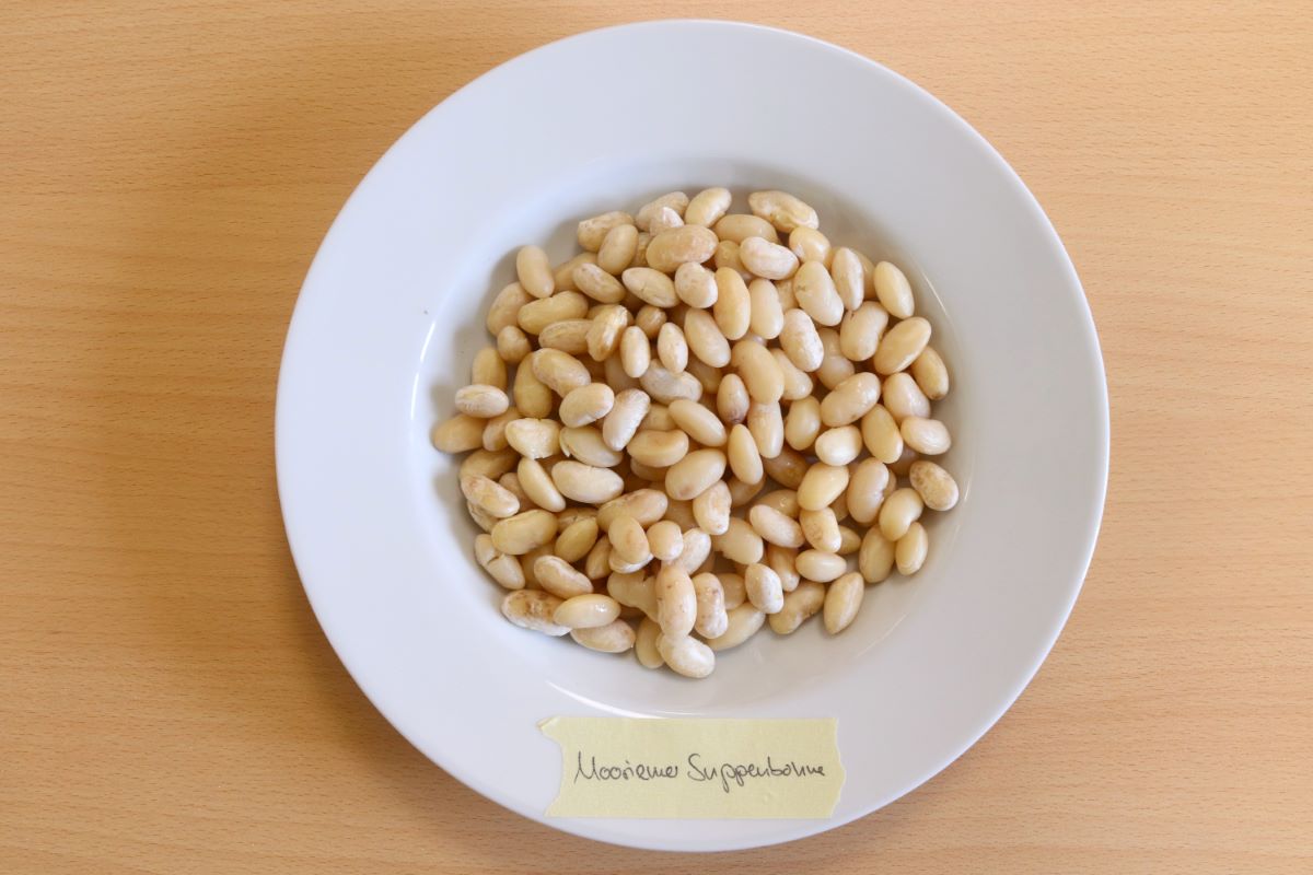 Mooriemer Suppenbohne