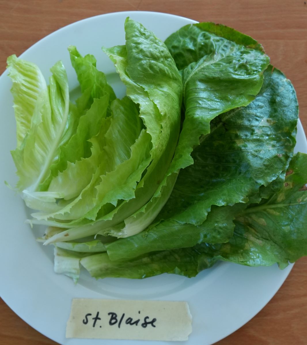 St. Blaise