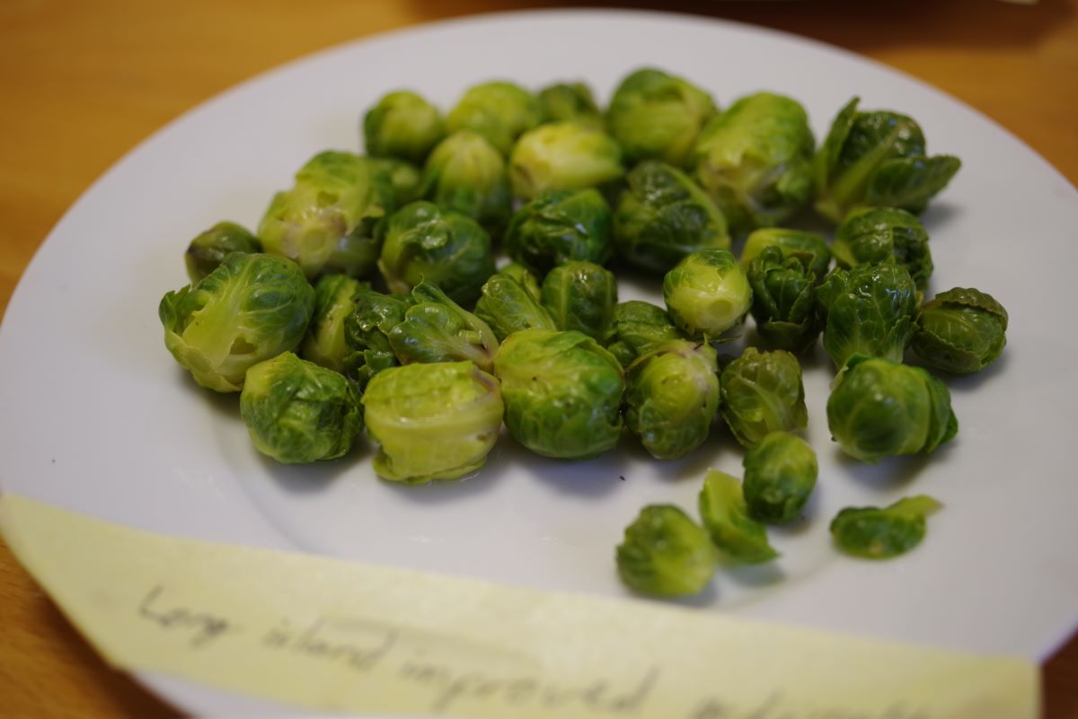 Long Island Improved