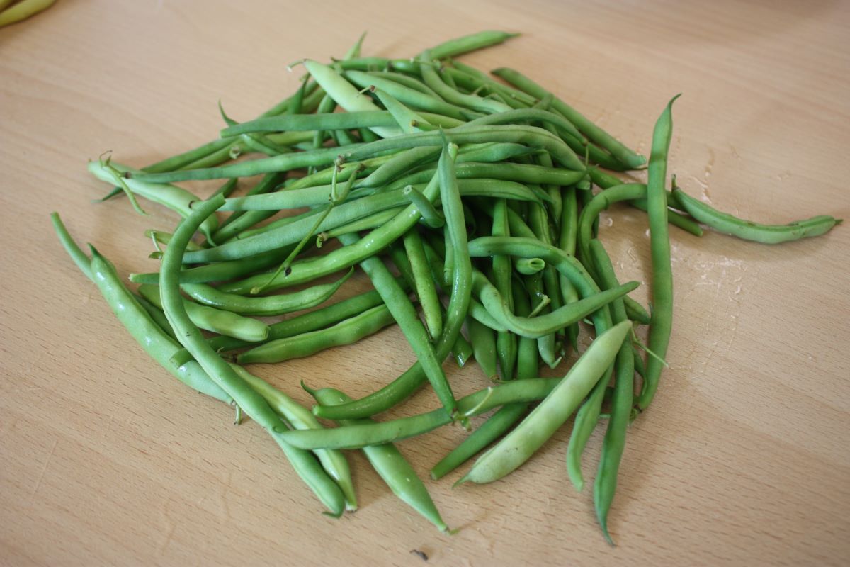 Hungarian Rice Bean