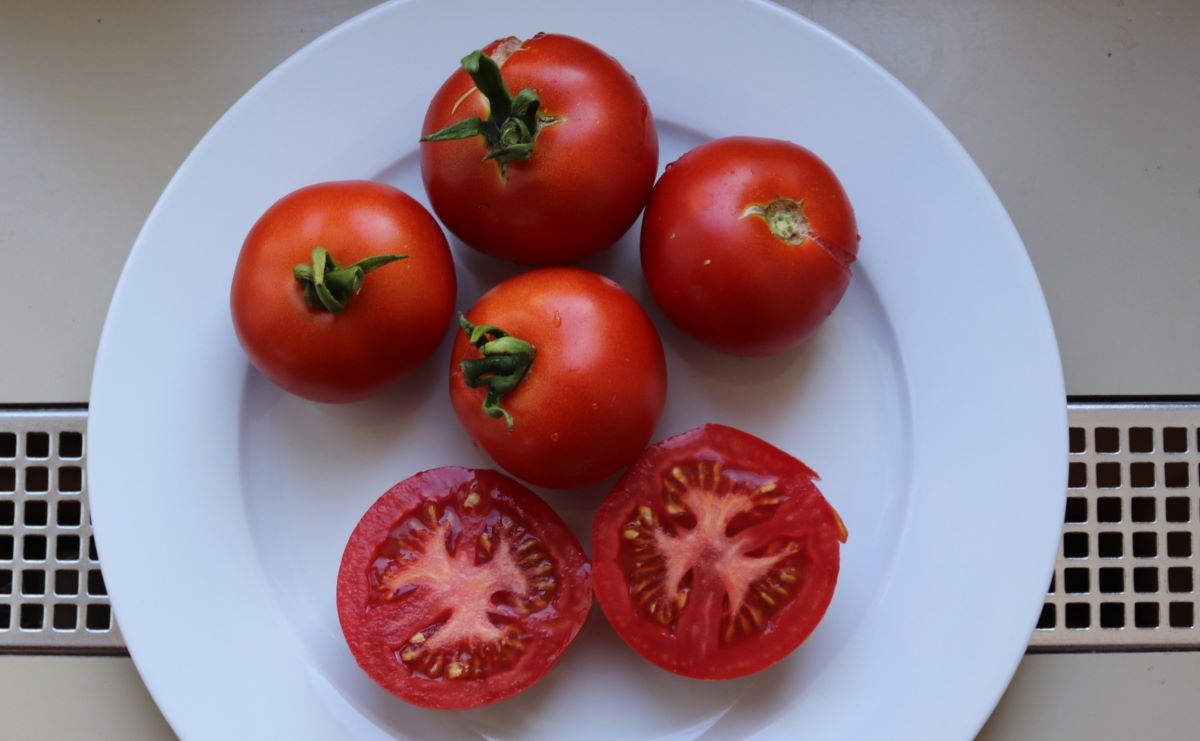 Tomate savoureuse