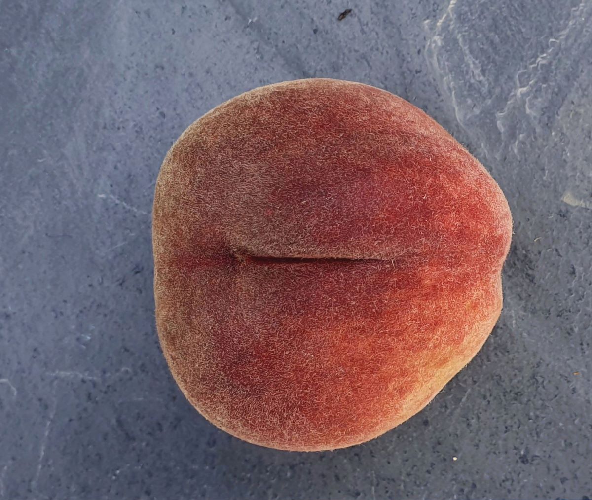 Polpa Chiara di Scharans