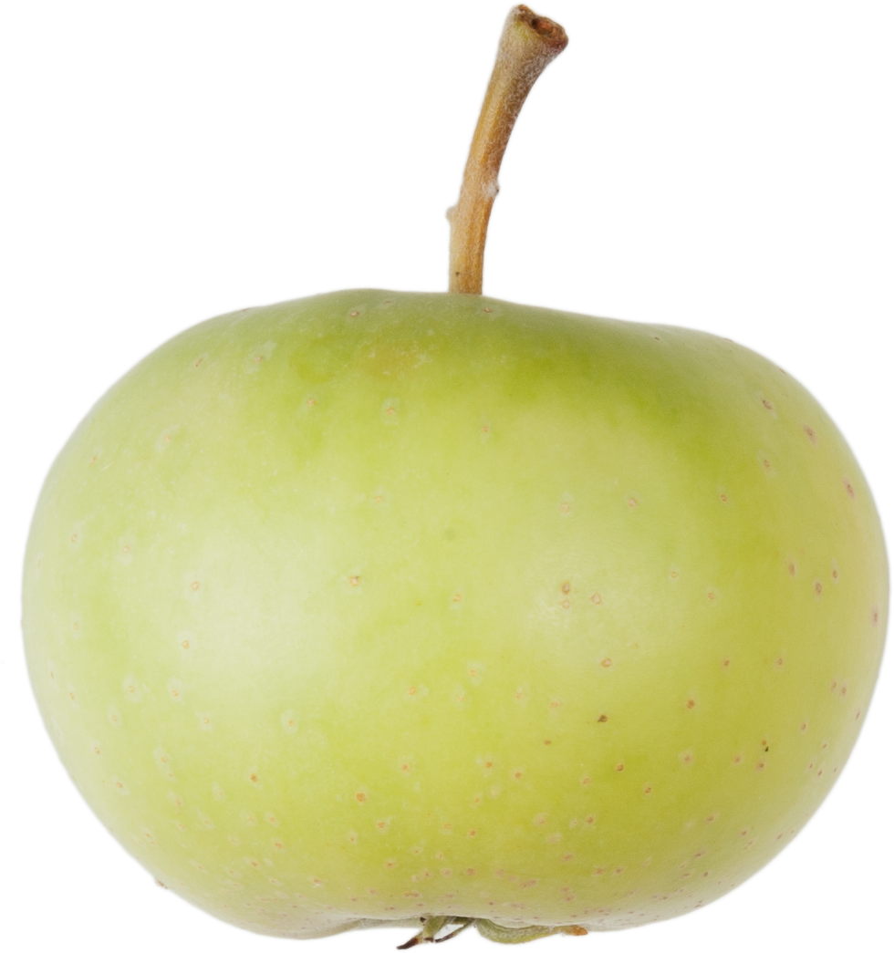 Brittnauer Süssapfel