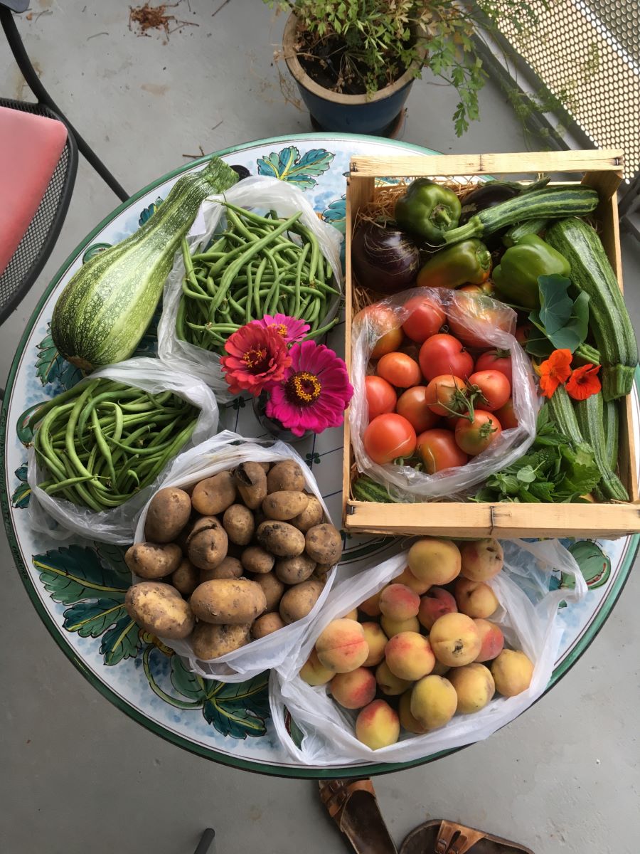 Giallo Rosato di Meyrin