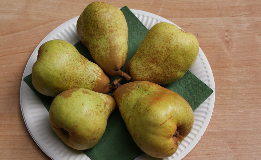 Souvenir du Congrès 