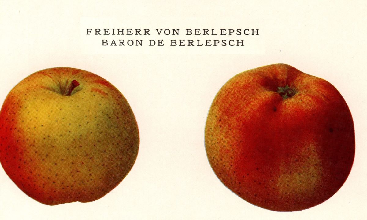 Baron de Berlepsch