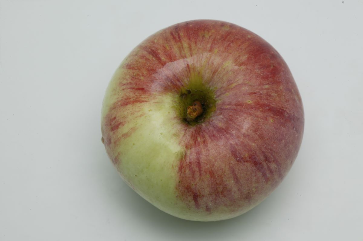 Sans pareil de Peasgood