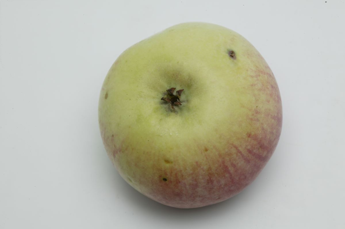 Sans pareil de Peasgood