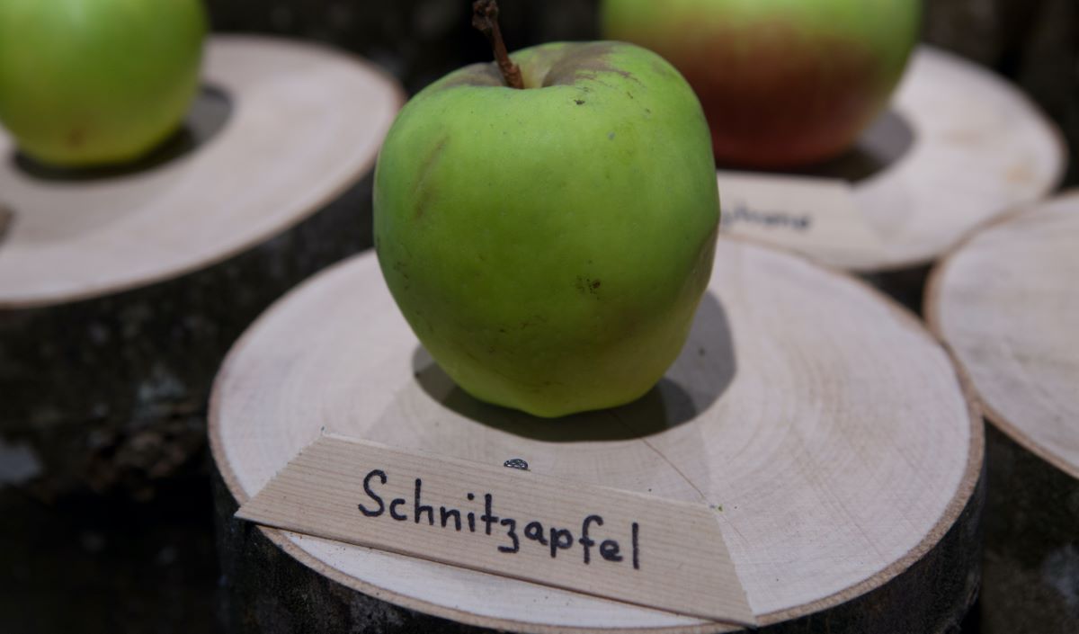 Schnitzapfel