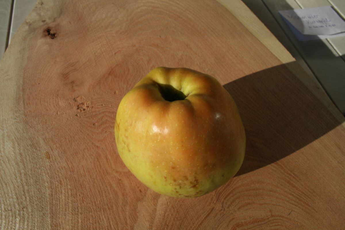 Mägenwiler Klotzapfel