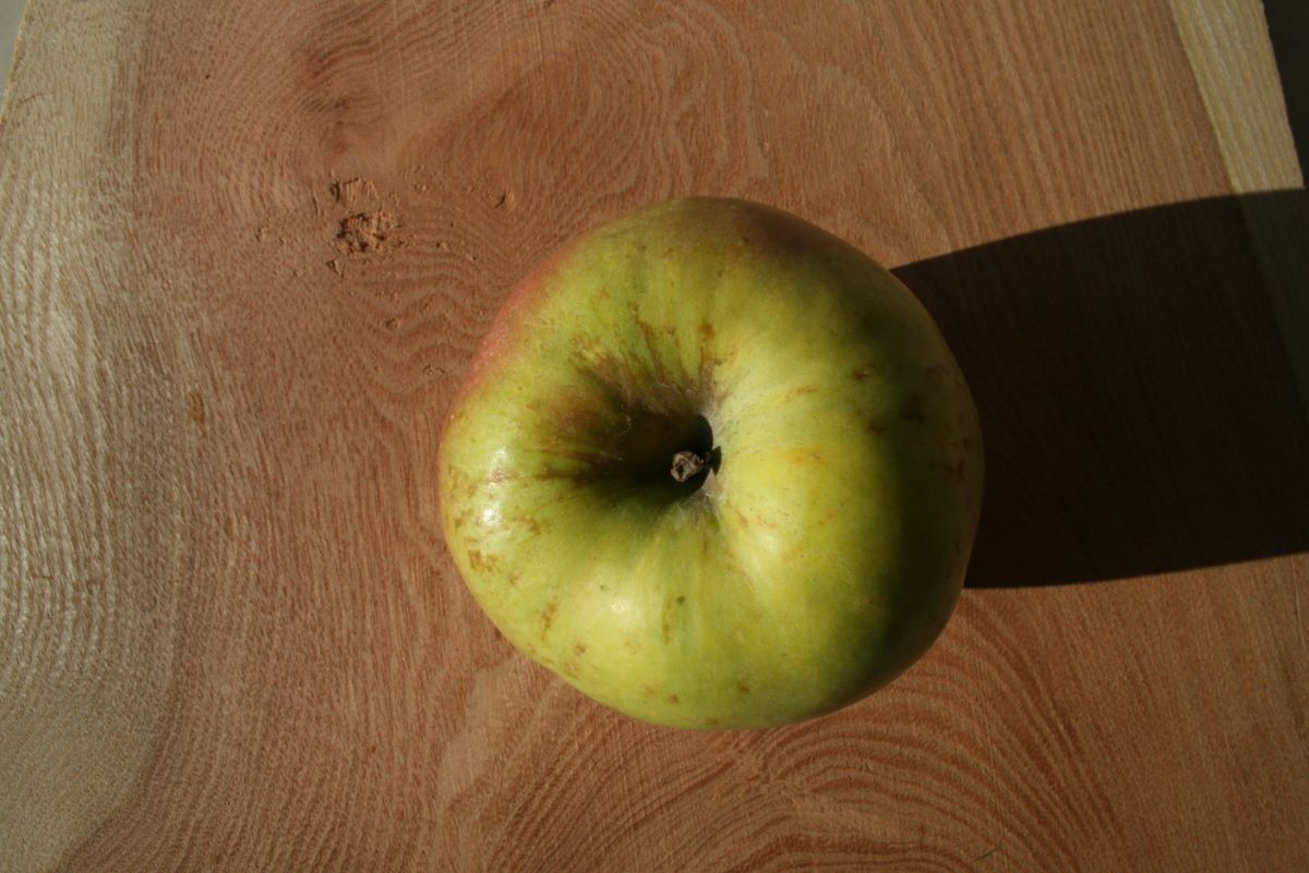 Mägenwiler Klotzapfel