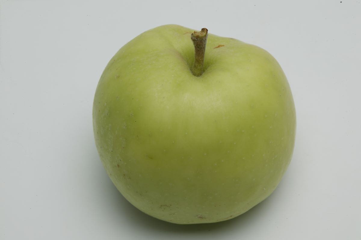 Pomme Baloffe