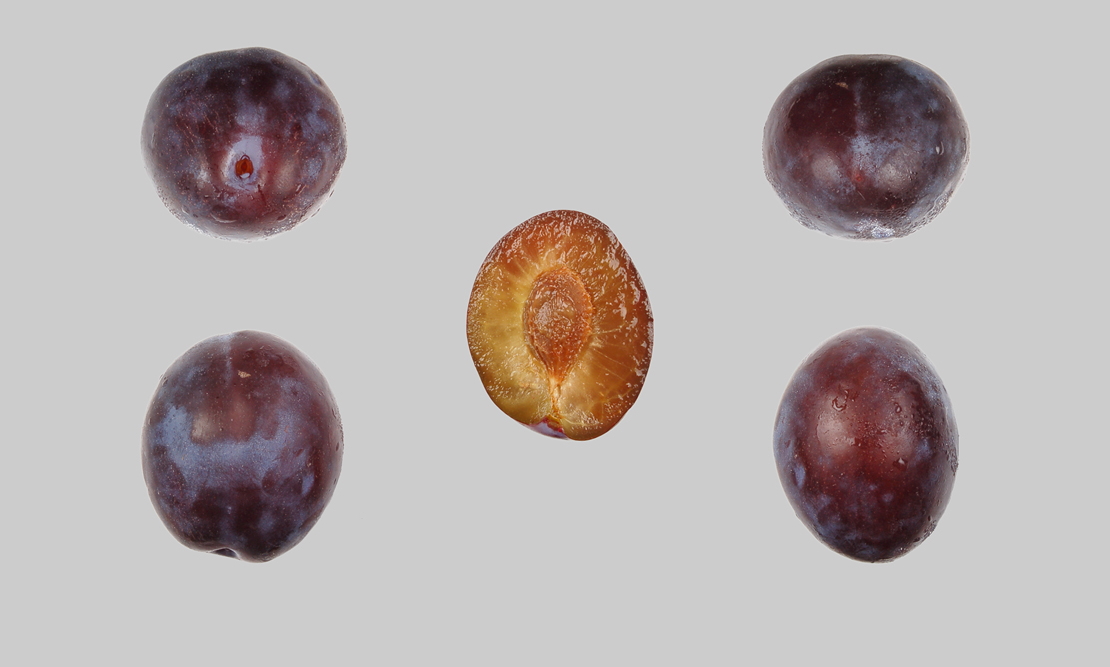 Ersinger Frühzwetschge