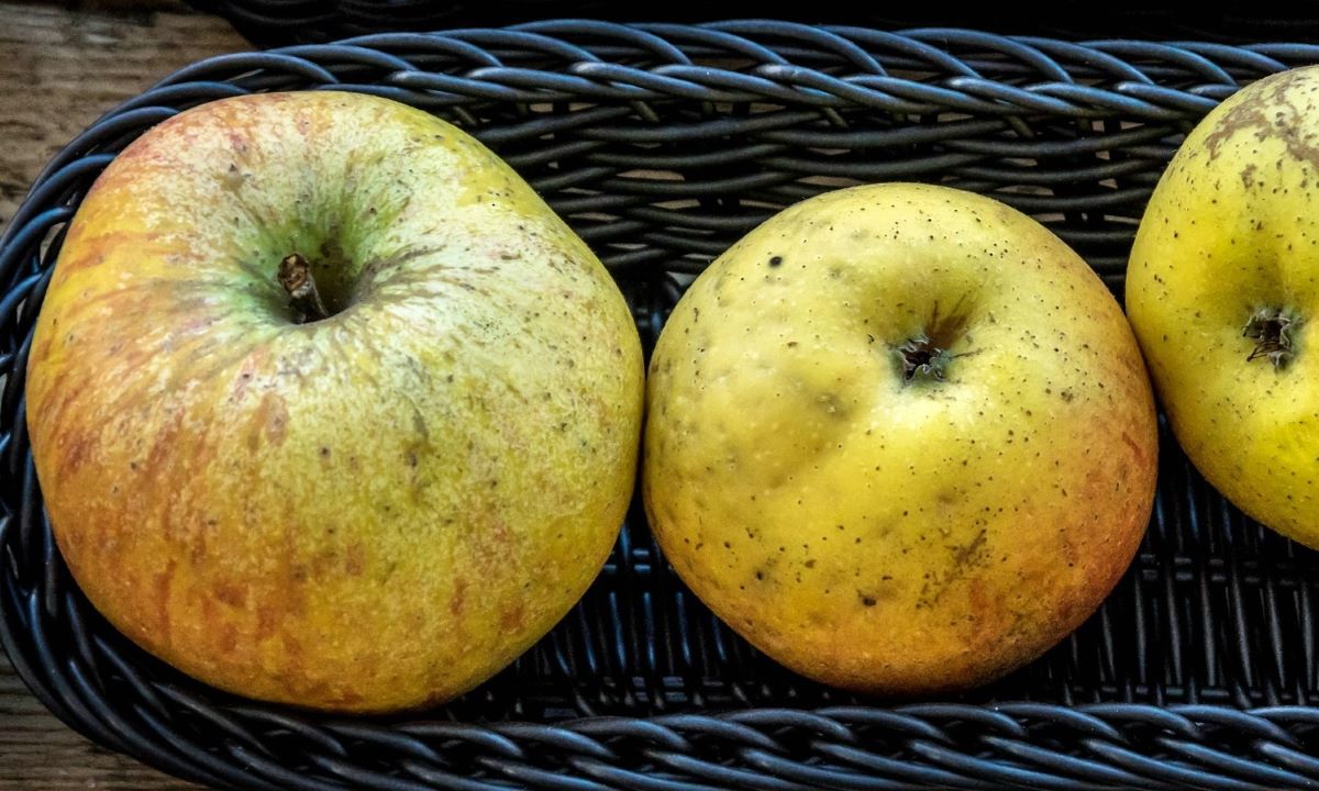 Korbiniansapfel