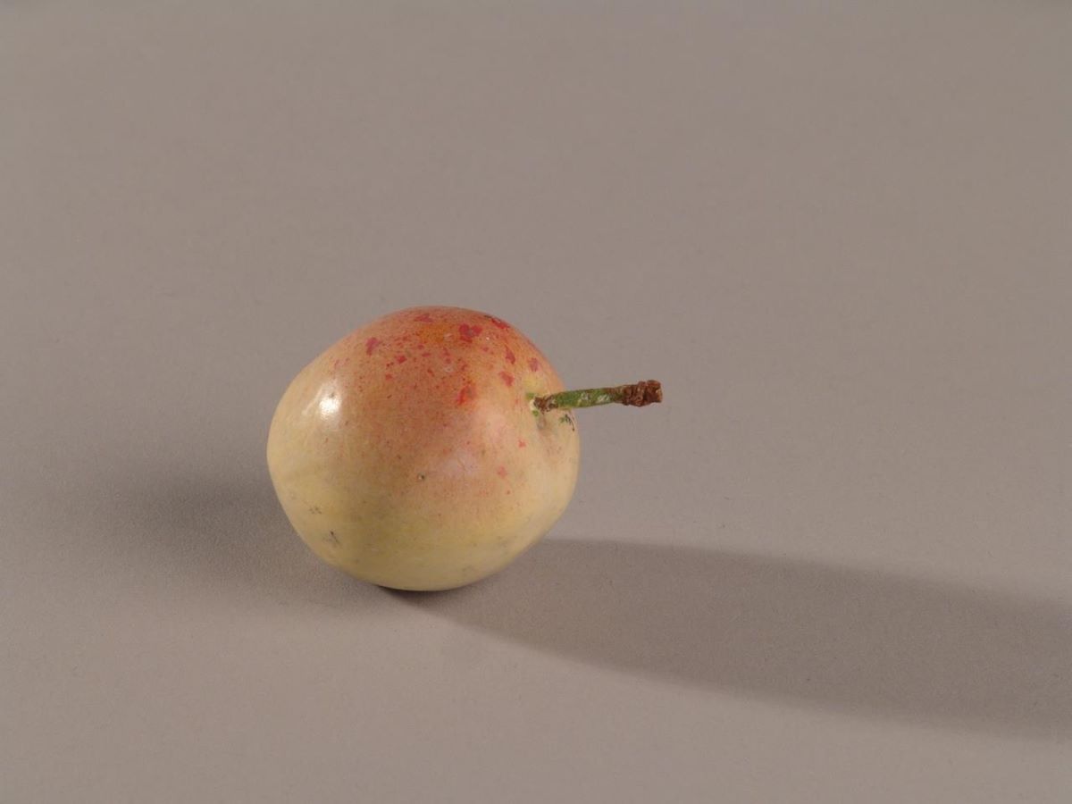 Prune d'Apricot Jaune