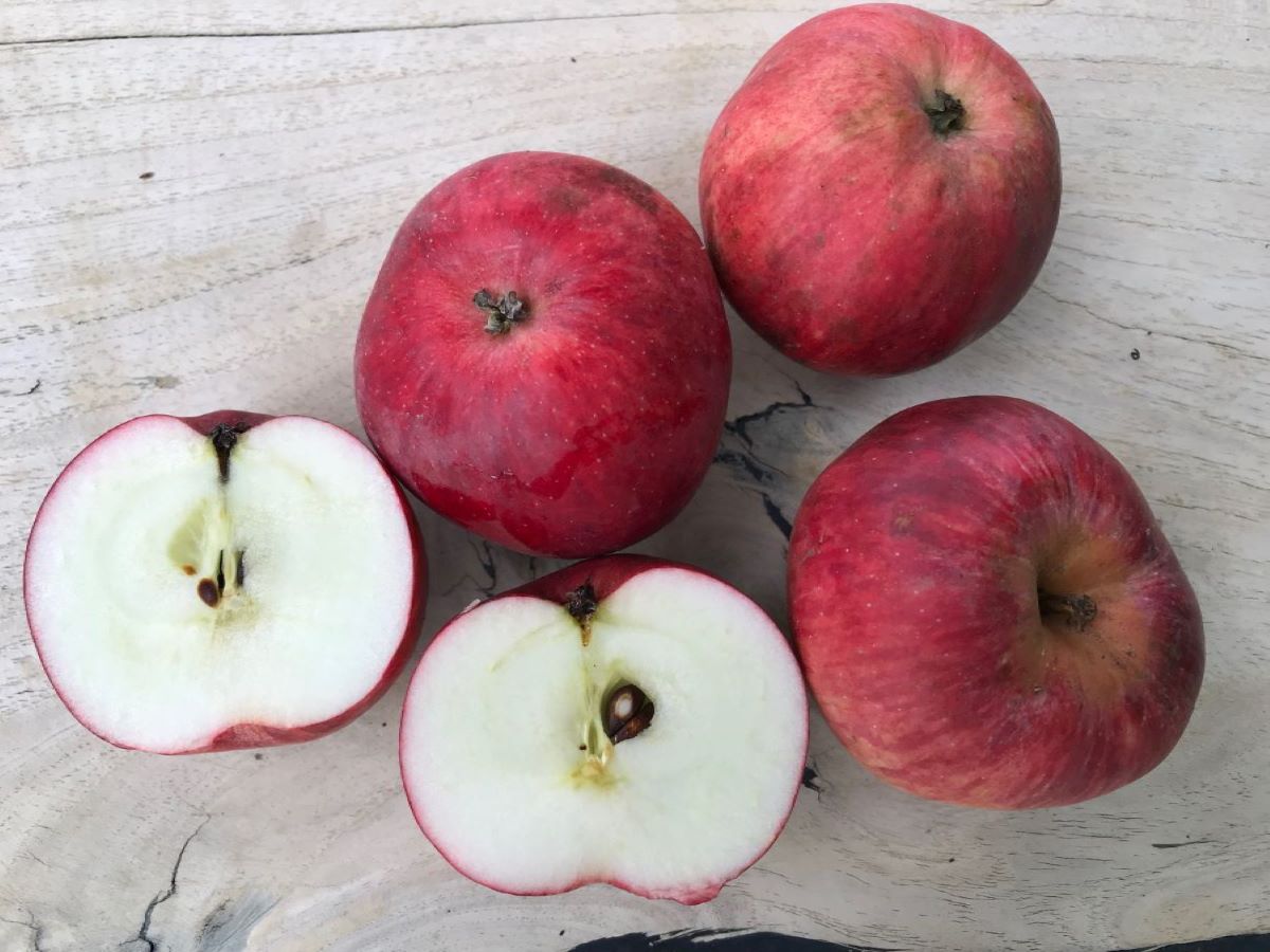 Heslacher Gereutapfel