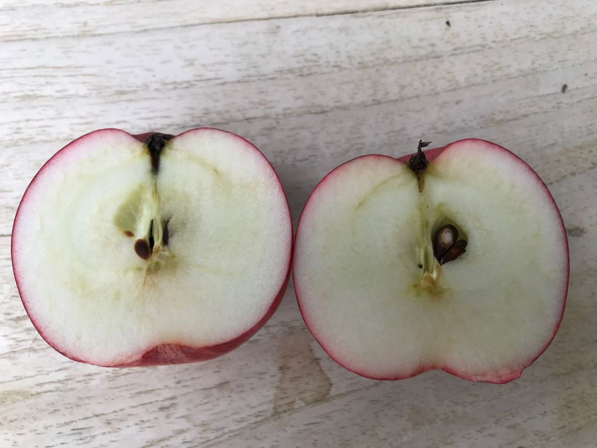 Heslacher Gereutapfel