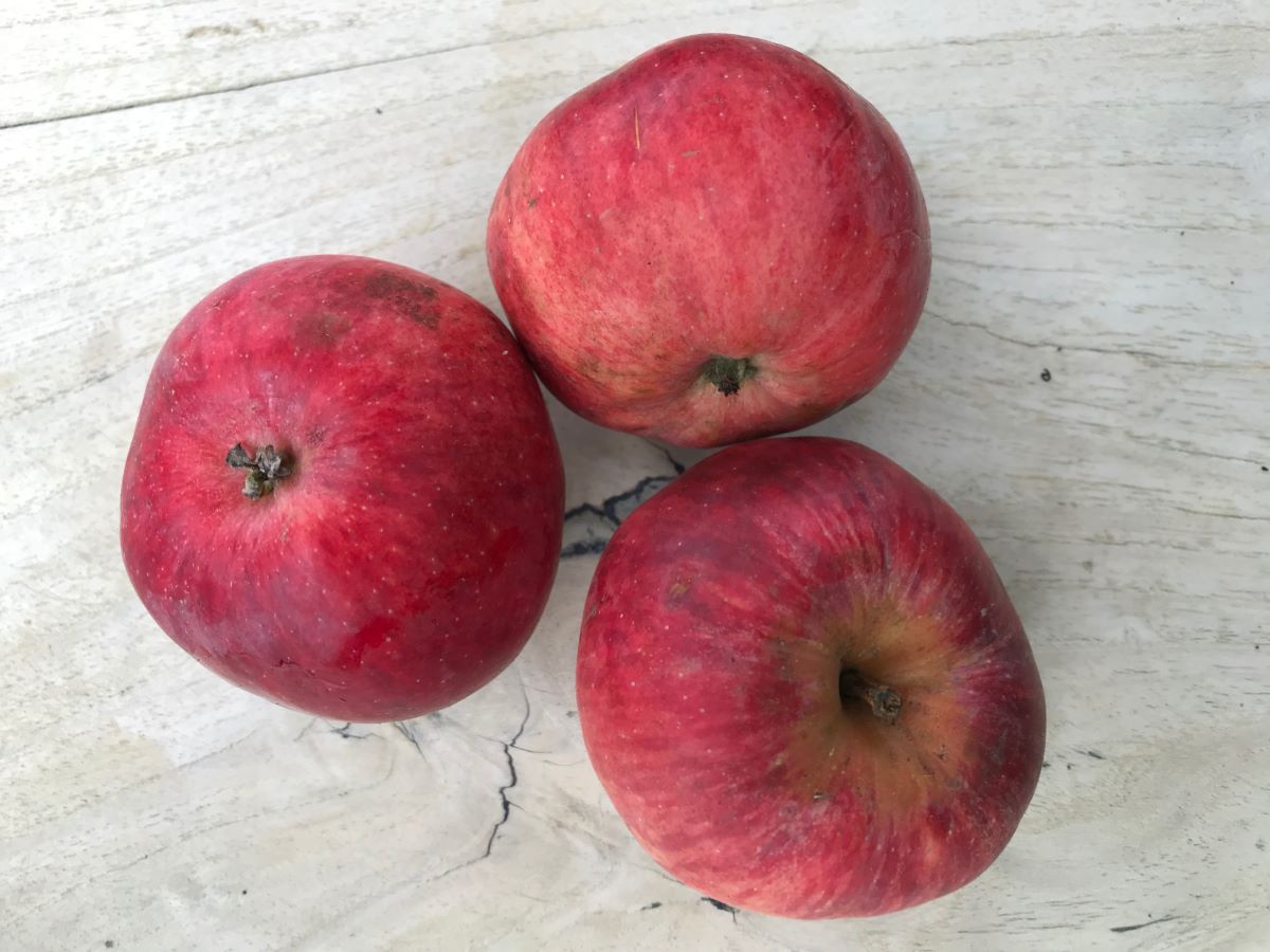 Heslacher Gereutapfel
