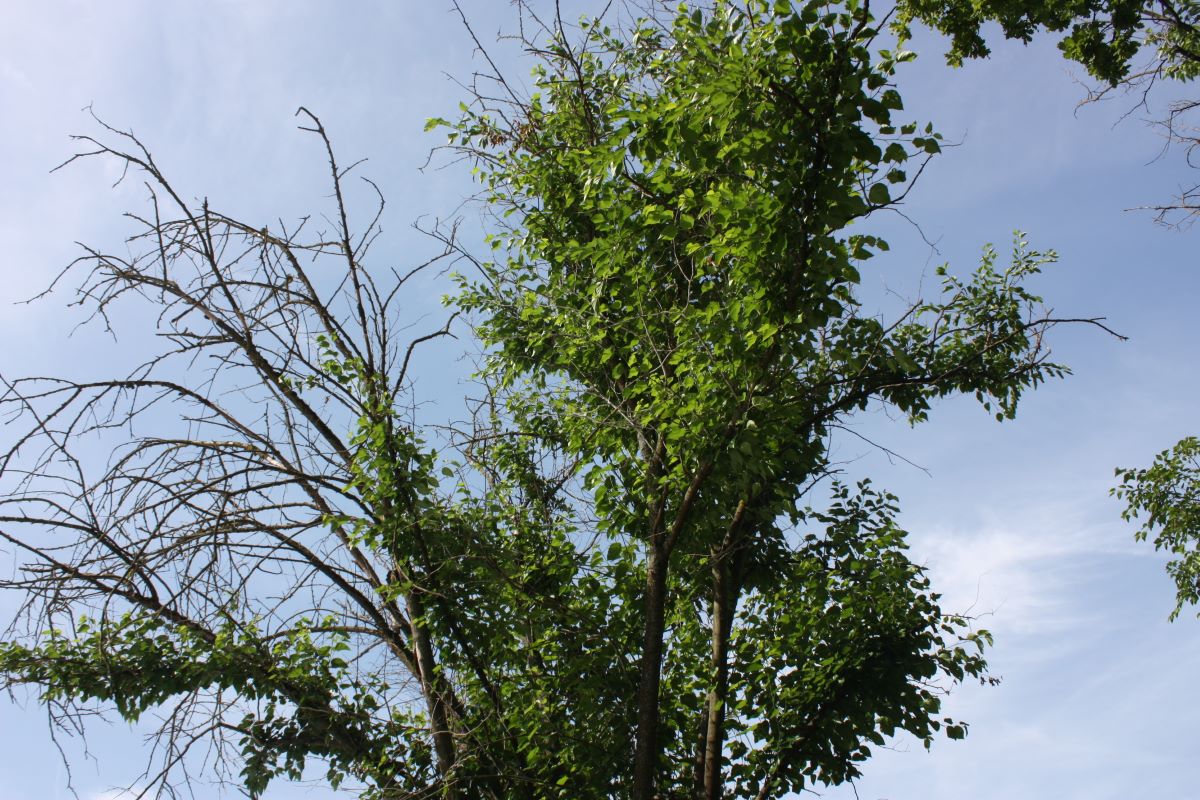 Blanc Zürich Wasserwerk