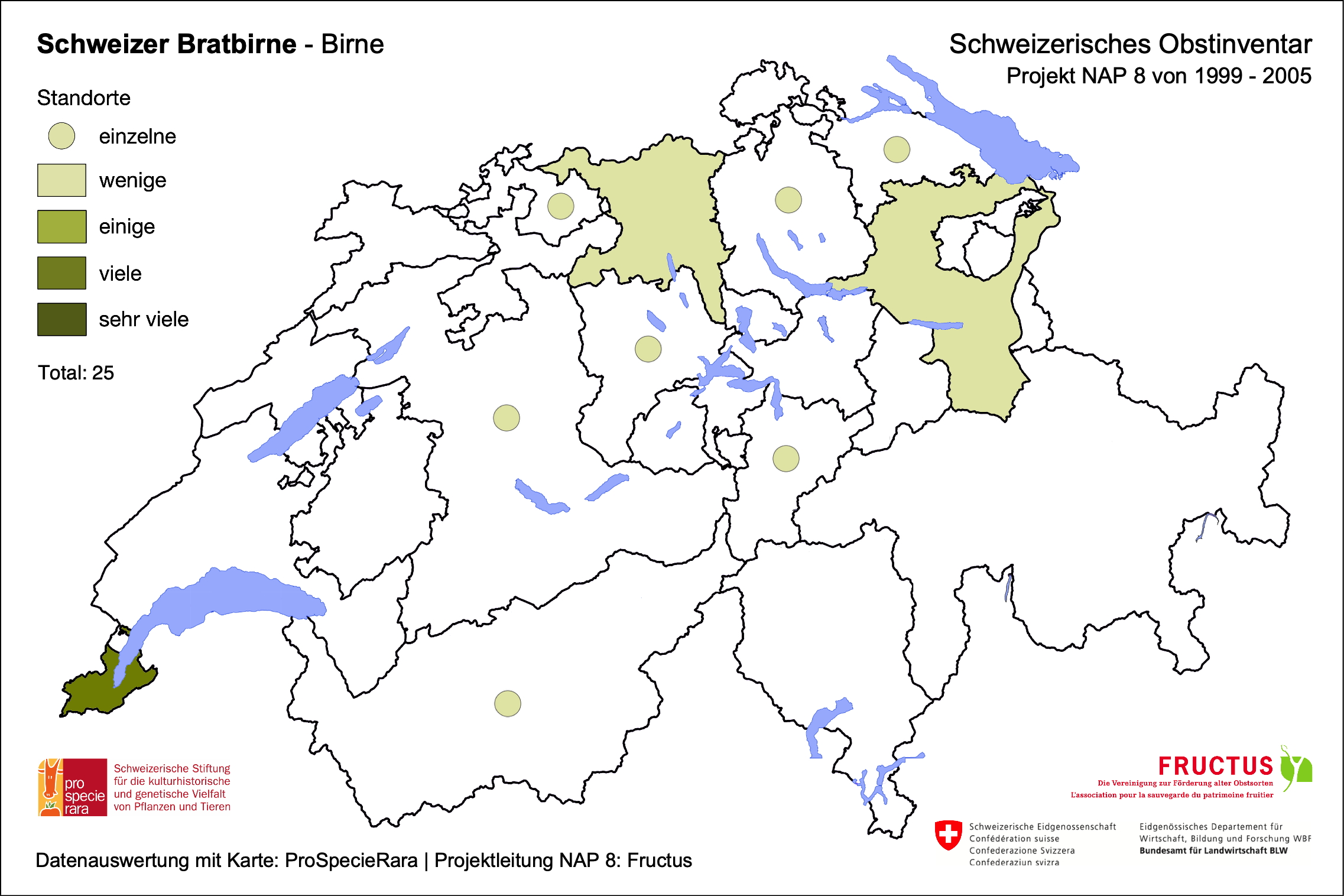 Schweizer Bratbirne
