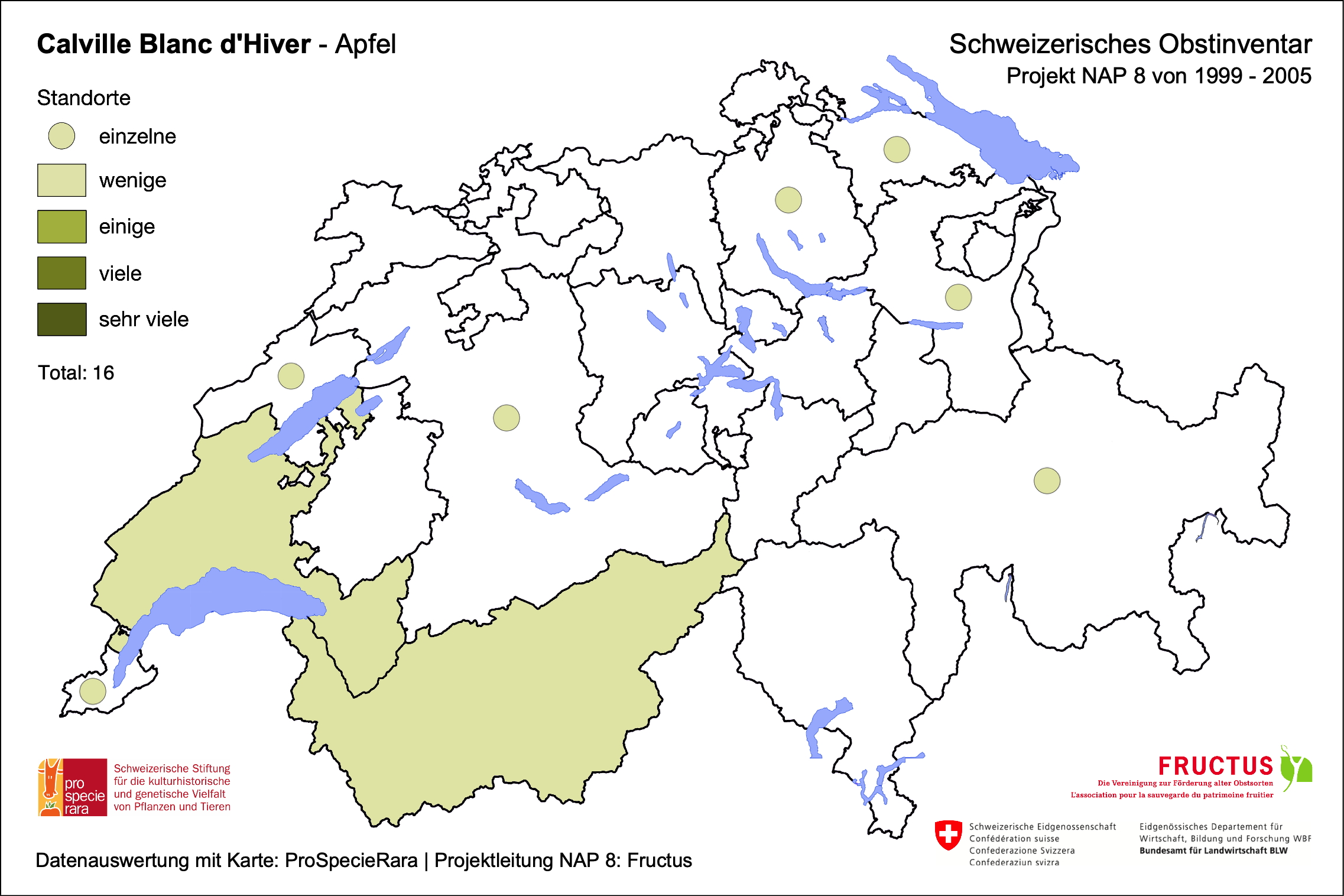 Weisser Wintercalvill