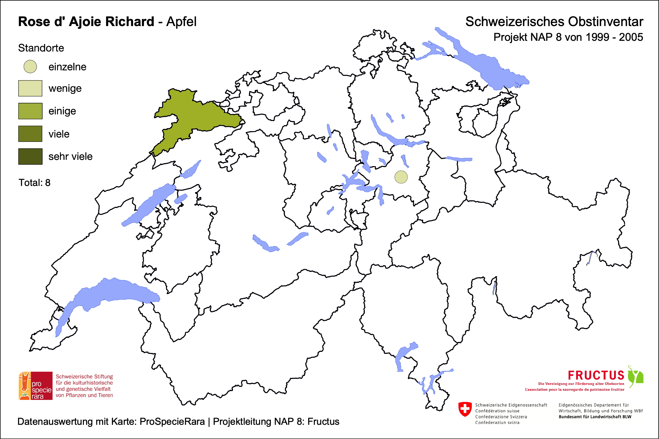 Rose d'Ajoie Richard