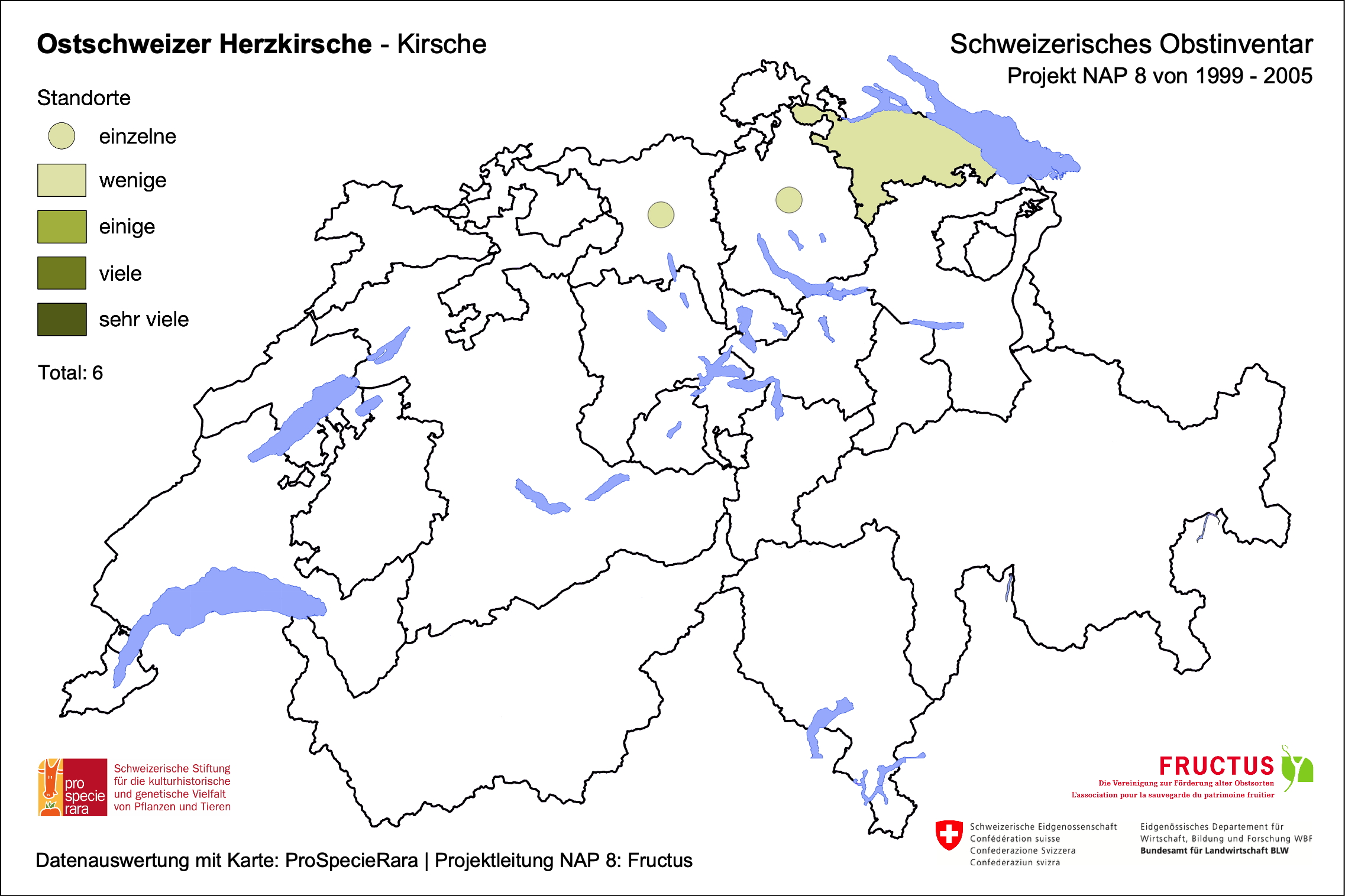 Ostschweizer Herzkirsche