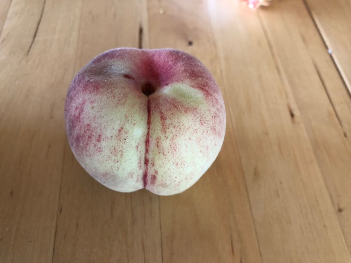 A Chair Blanche de Sion