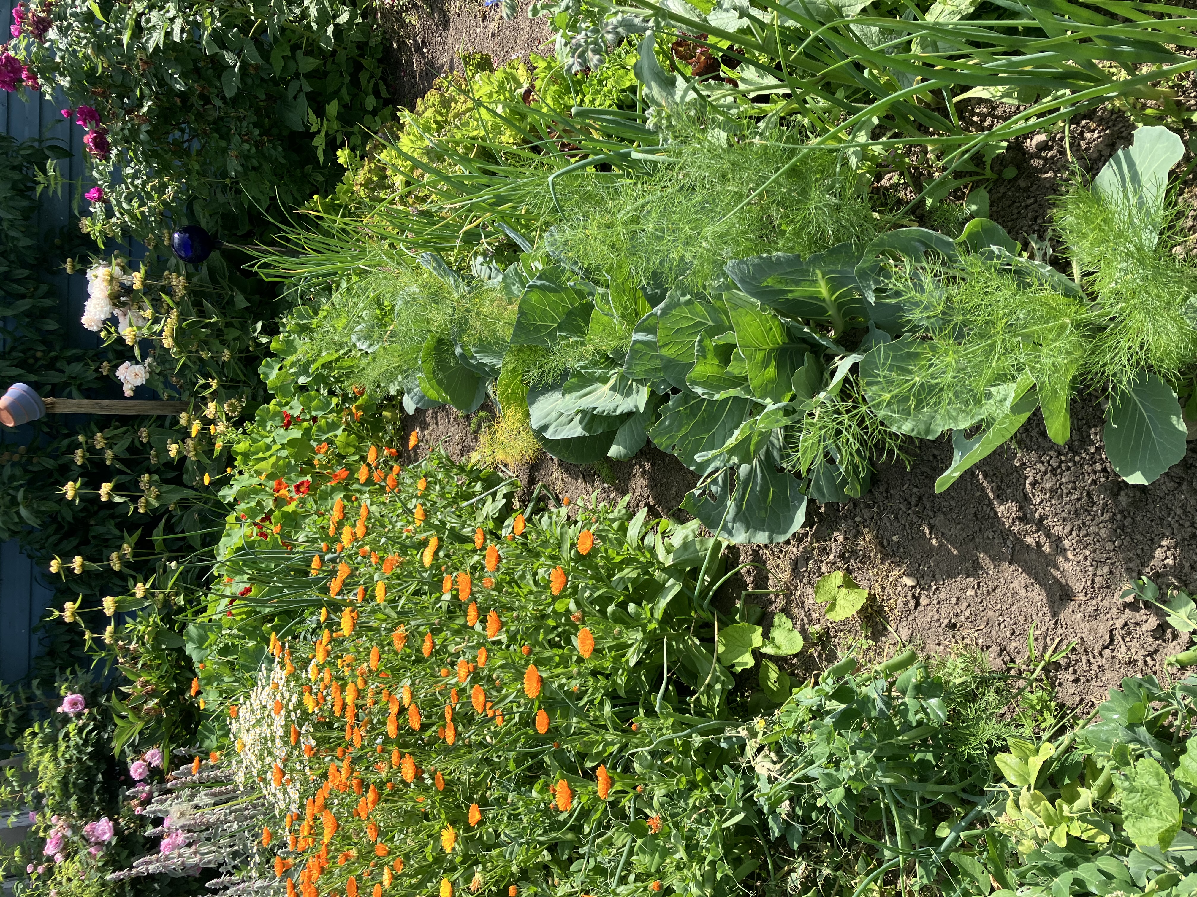 Logo Jeannette Fröhlich