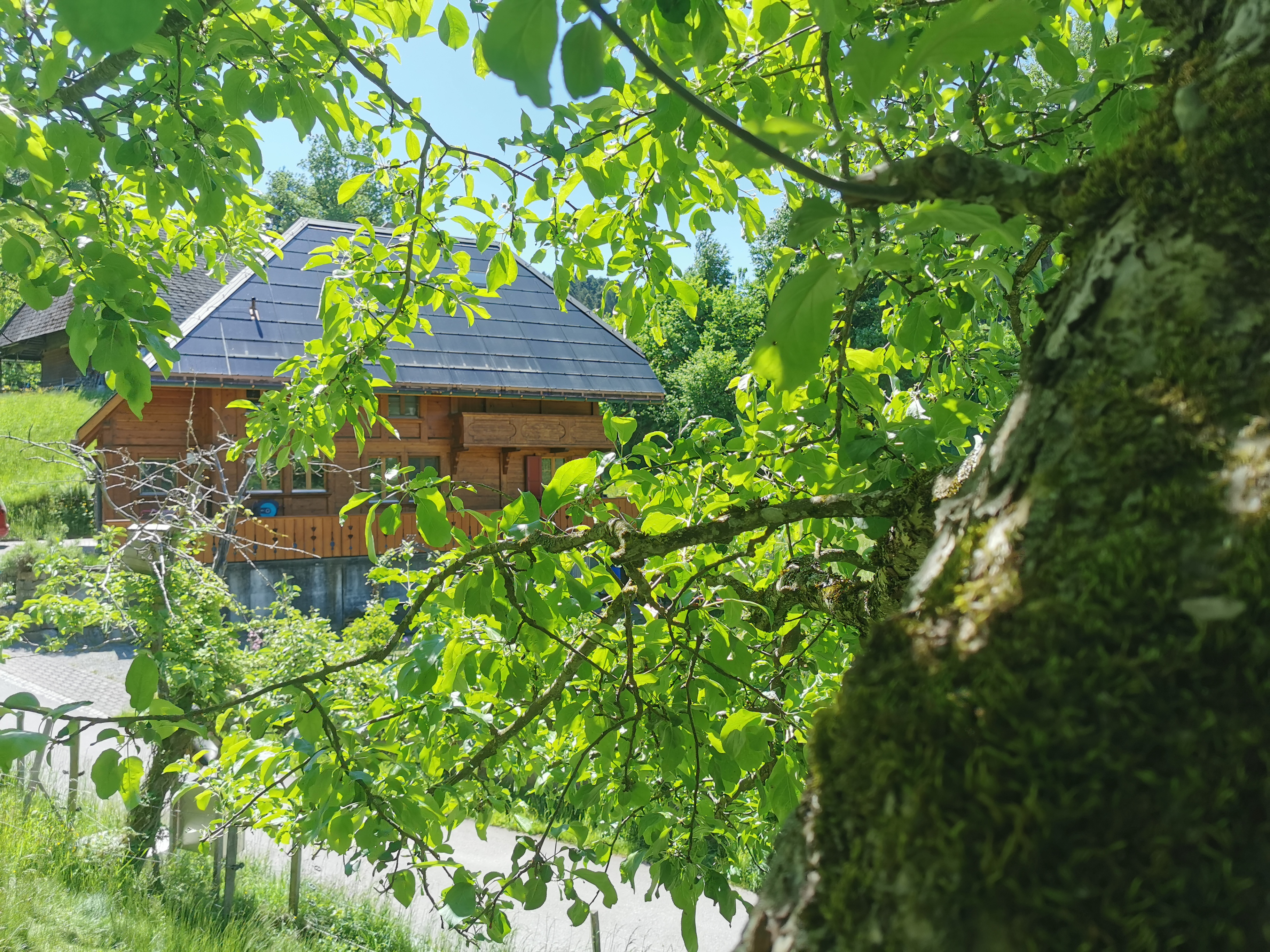 Logo Schindelgasse Heimiswil