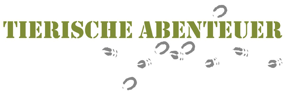 Logo Tierische Abenteuer