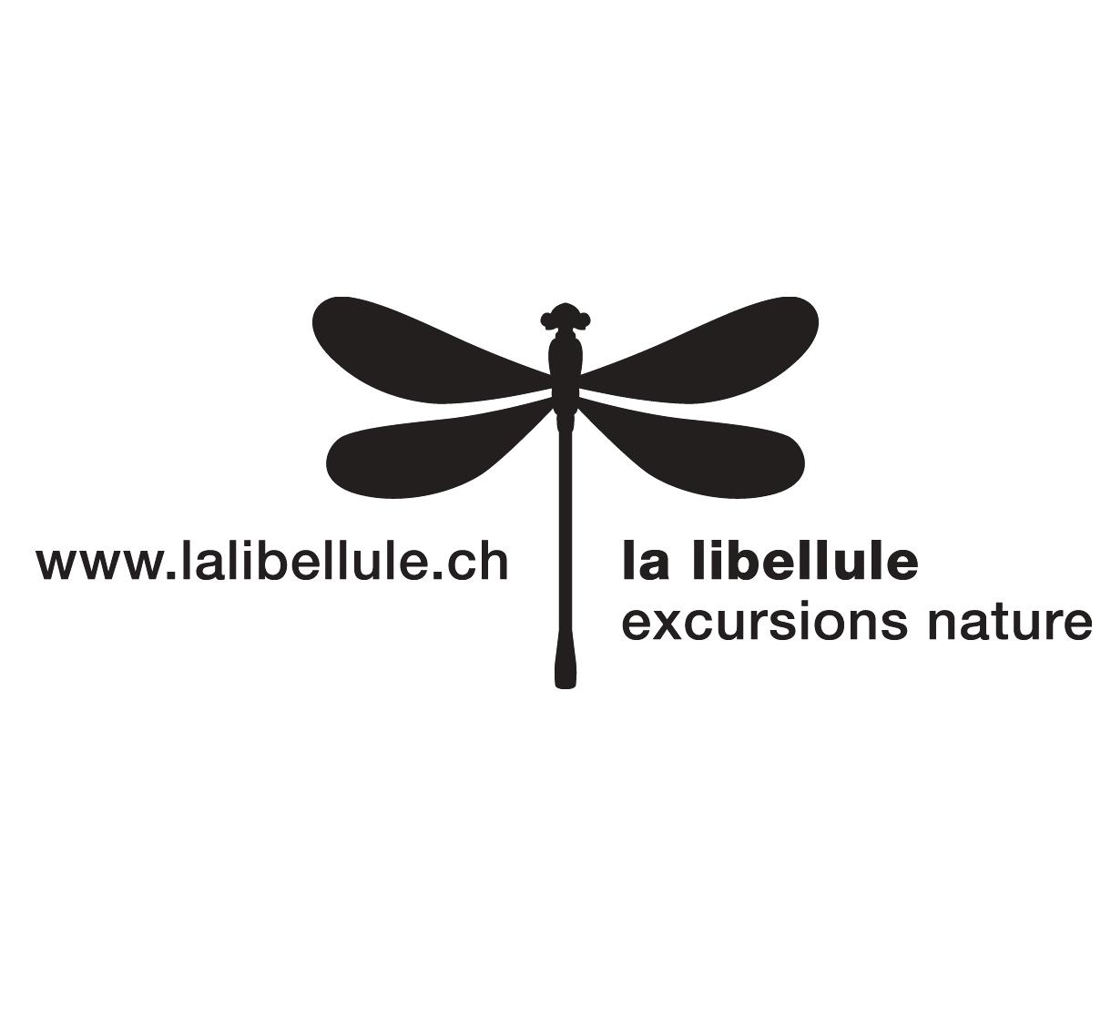 Logo Association La Libellule
