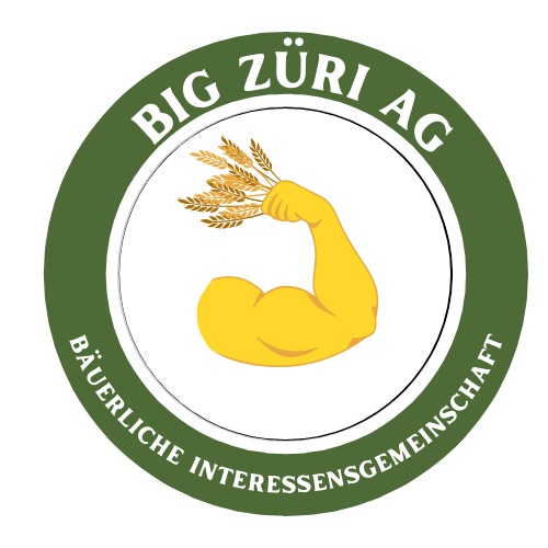 Logo BIG Züri AG/ Skudden