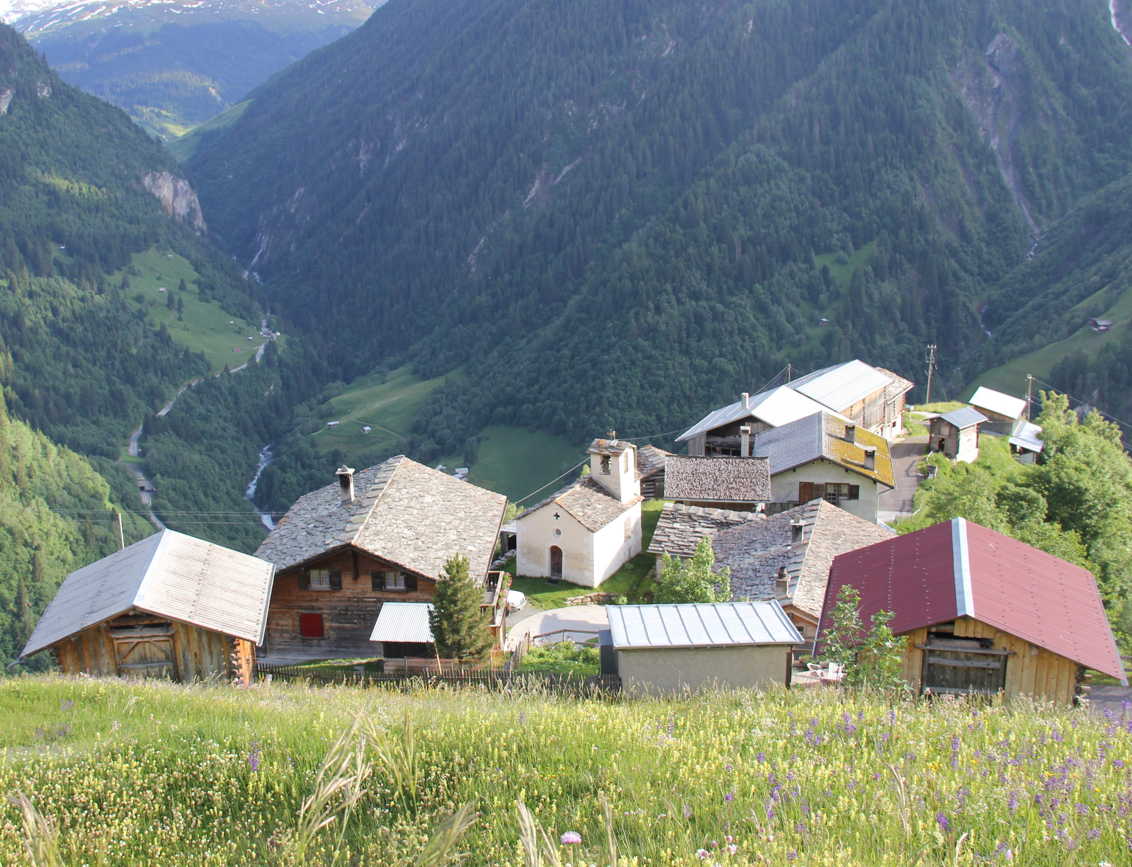 Logo Lebenswelt Mont