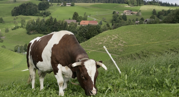 Logo Arche-Hof Russberg