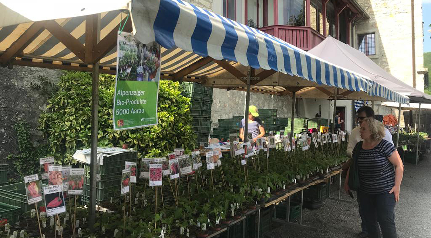 Logo Alpenzeiger Bioprodukte