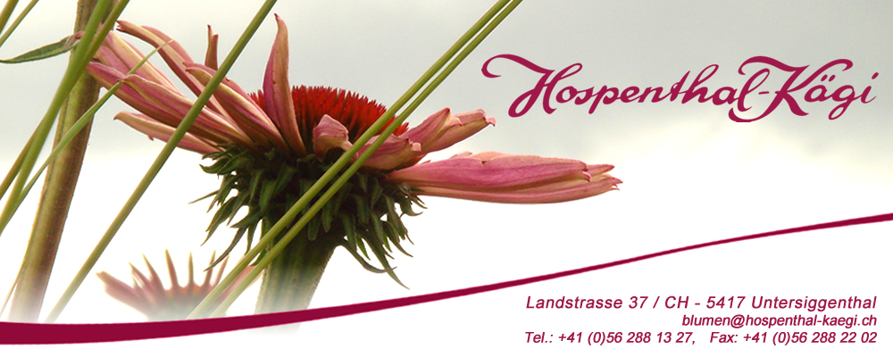 Logo Gärtnerei Hospenthal-Kaegi AG