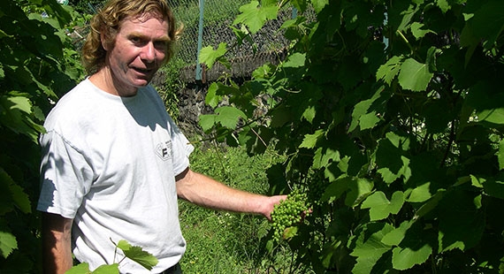 Logo Rebensammlung Minusio - Collezione di vitigni rari