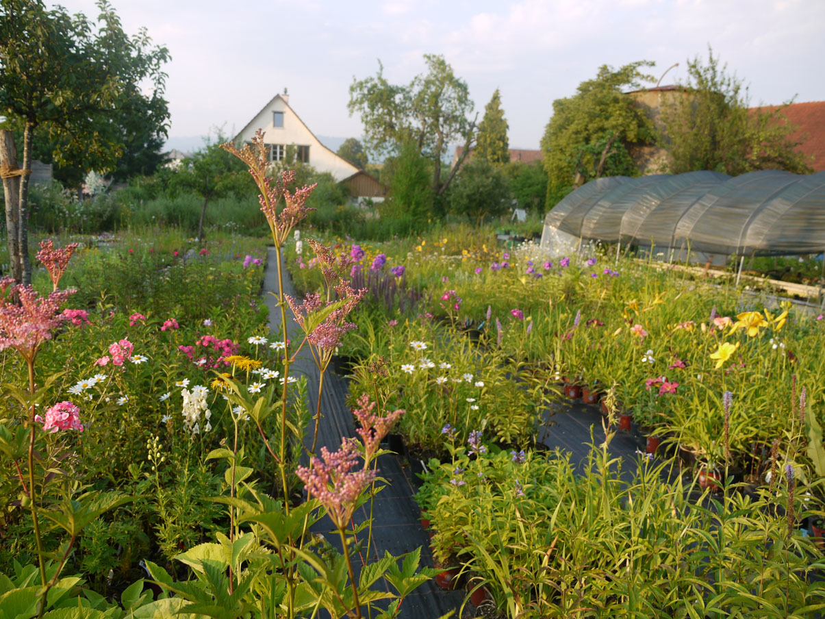 Logo Eulenhof Staudengärtnerei