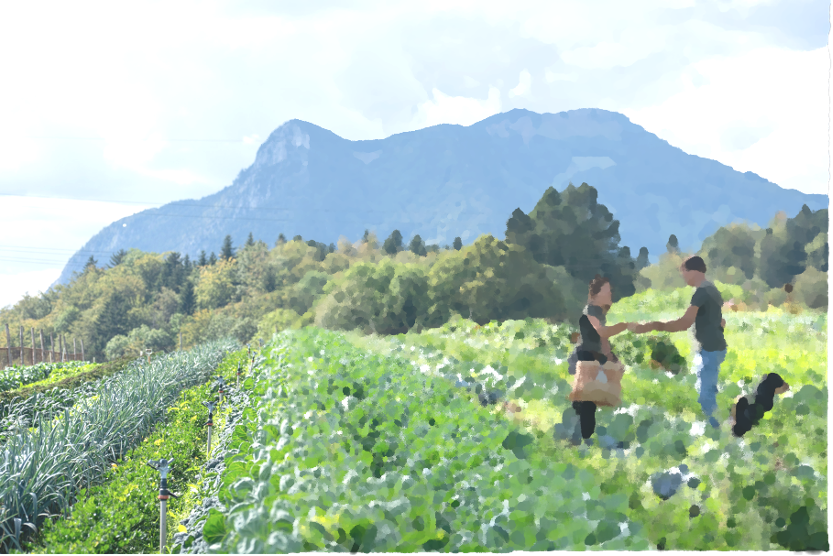 Logo Sunnahof Farnern - Wir lieben Vielfalt! :-)