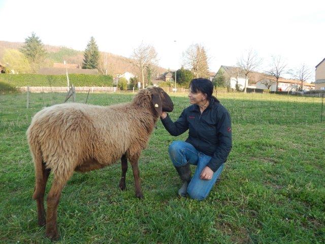 Logo Engadinerschafzucht "Aggloschafe, Arlesheim"