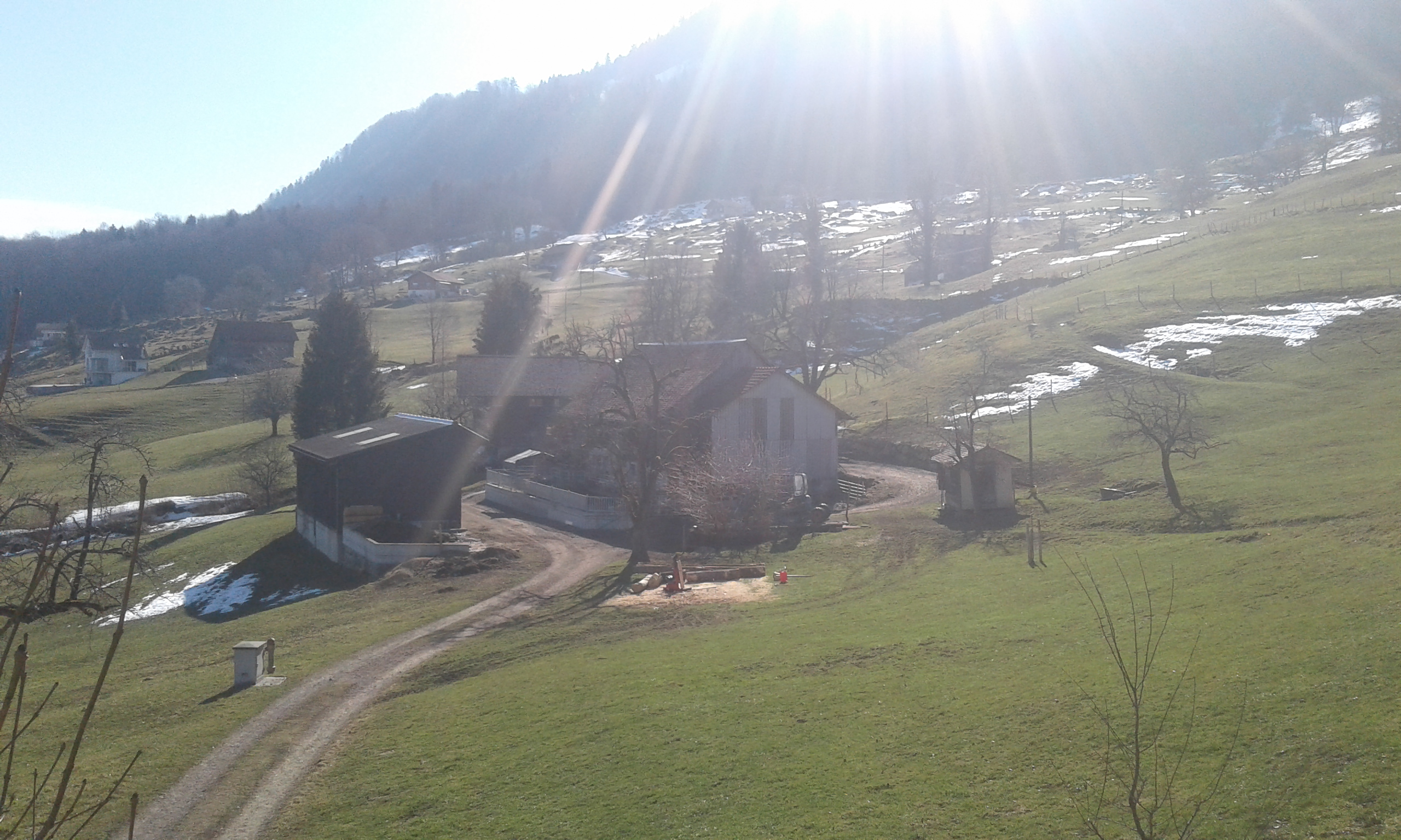 Logo Meinrad Kistler