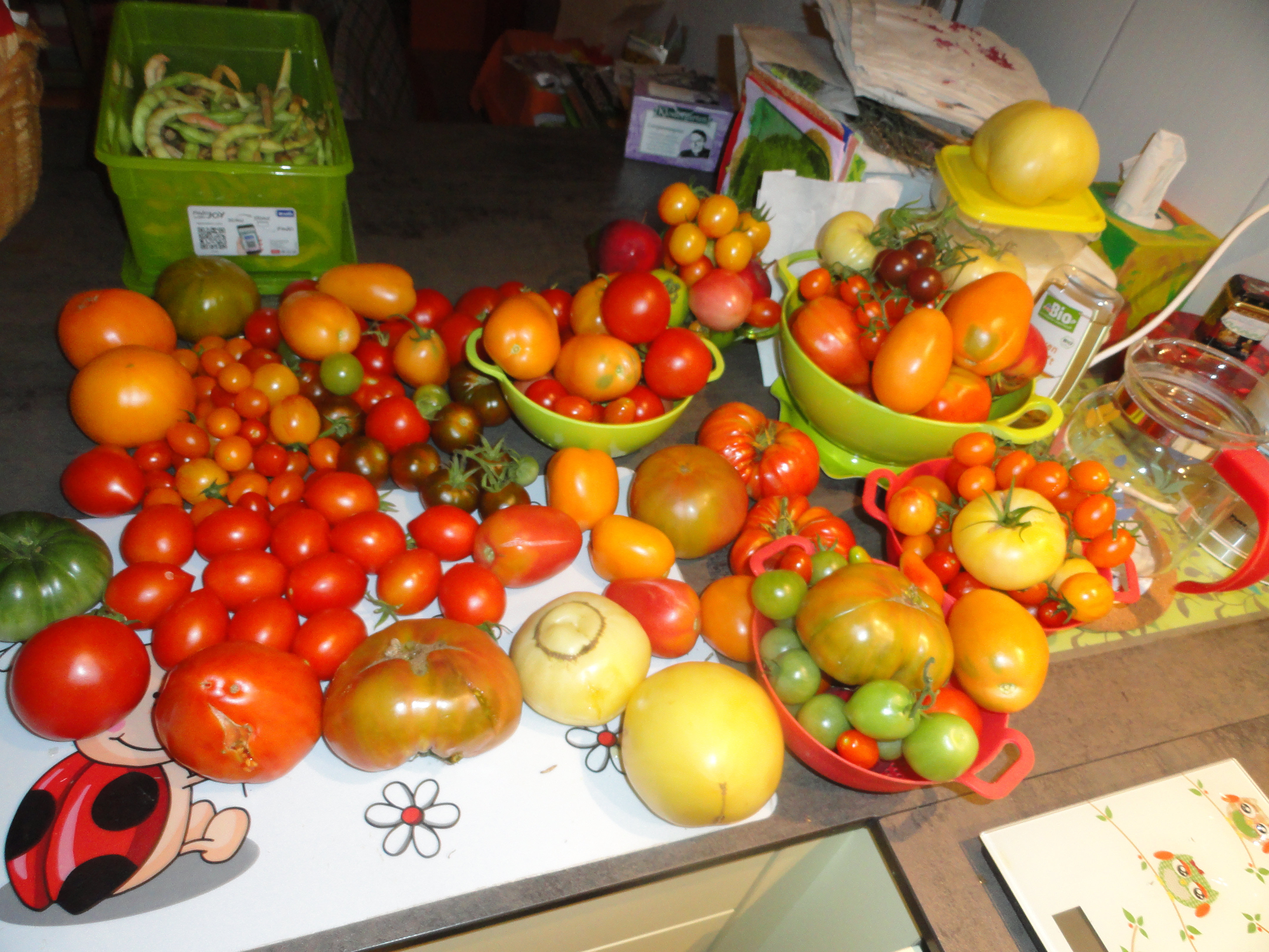 Logo Paradies-Garten