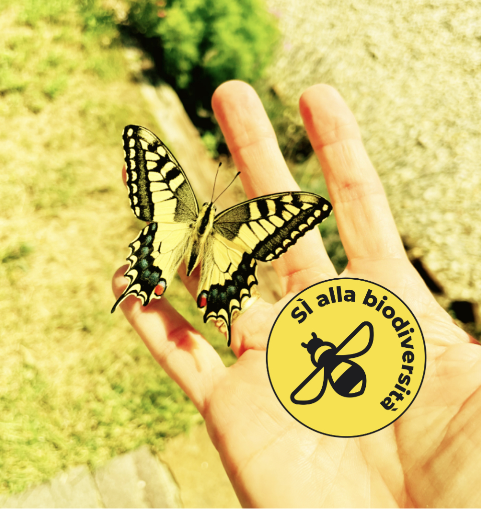 Logo Piccolo Paradiso