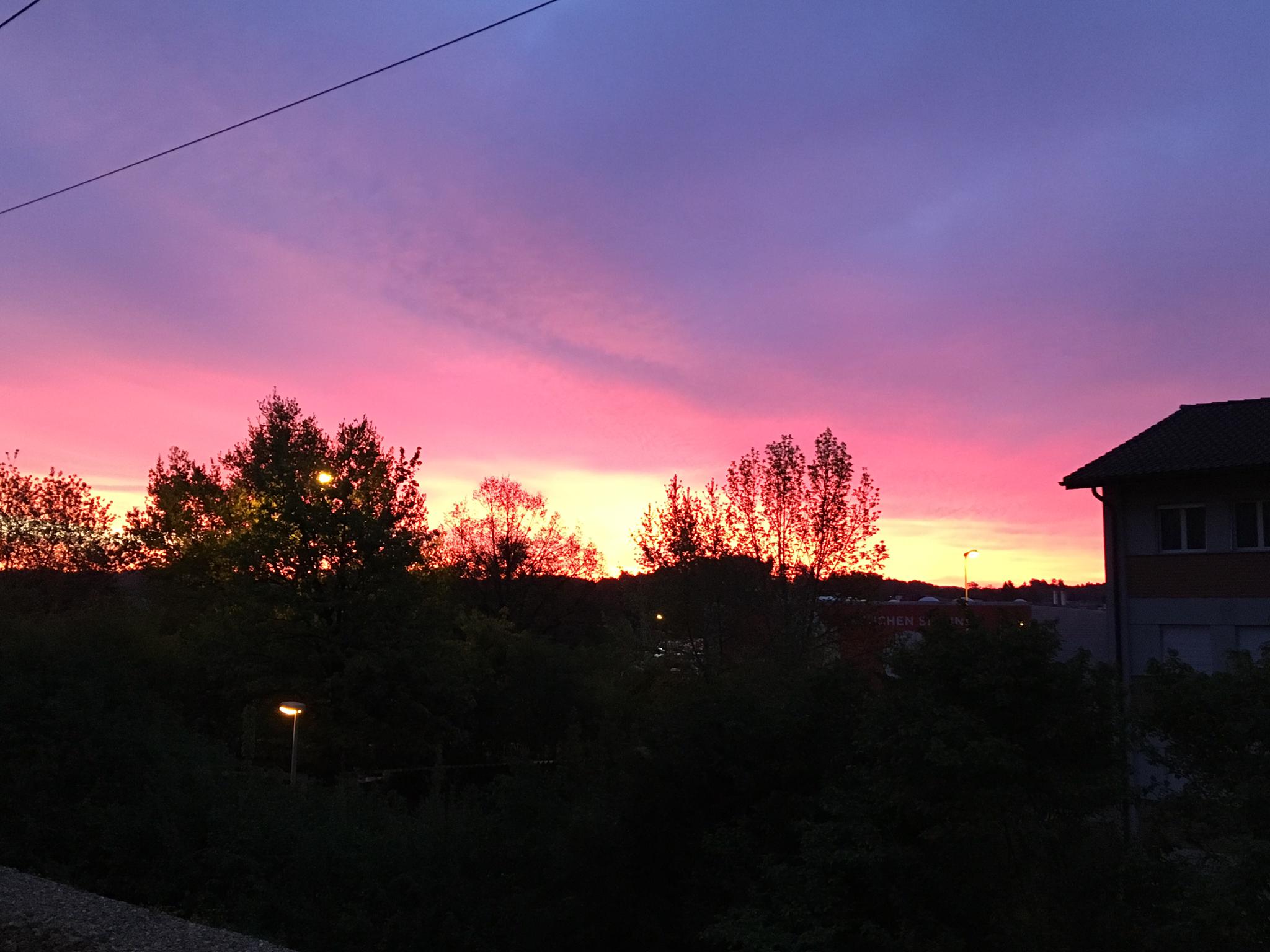 Logo Hofgut zum Bärenwohl - BioSuisse/Demeter